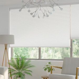 Cordless Blinds